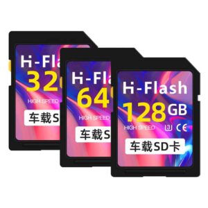 Mini SD Card