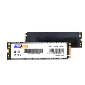 SSD M.2 1TB Internal