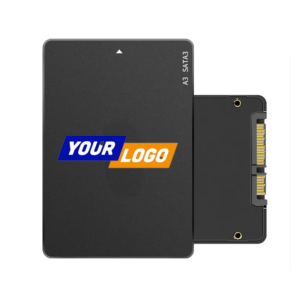 Largest Internal SSD