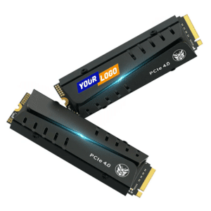 Drives M2 Nvme 2280 SSD