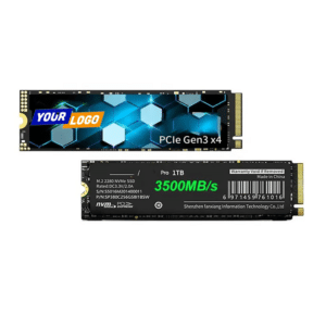 Internal NVMe SSD