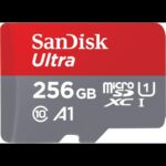 SanDisk 256GB