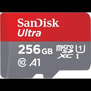 SanDisk 256GB