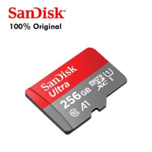 SanDisk 256GB