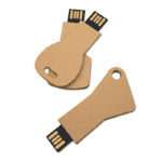 Eco-Friendly Key Shape USB