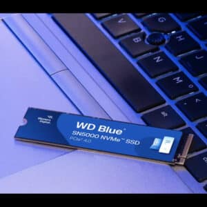 WD Blue SN5000