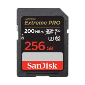 SanDisk 256GB