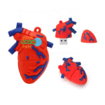 Medical Heart Shaped USB