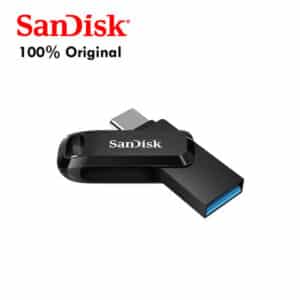 SanDisk 256GB