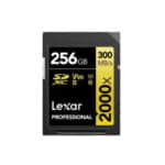 Lexar 256GB