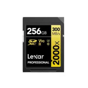 Lexar 256GB