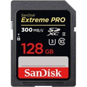 SanDisk 128GB