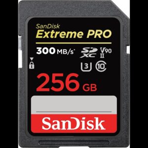 SanDisk 256GB