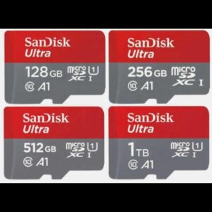 SanDisk 256GB