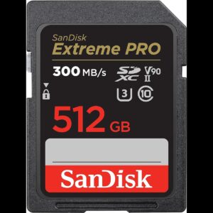 SanDisk 512GB