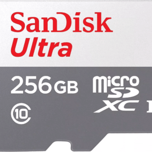 SanDisk 256GB