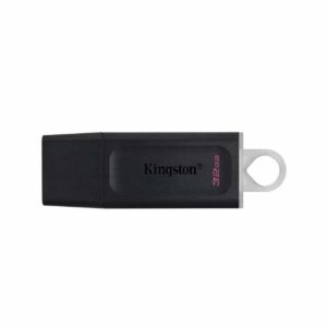 Kingston Data Traveler